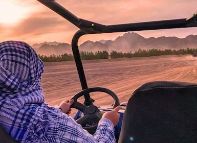 Hurghada: safari en quad, jeep, camello y buggy con cena de barbacoa