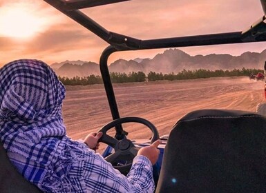 Hurghada: Safari en quad, jeep, camello y buggy con cena barbacoa