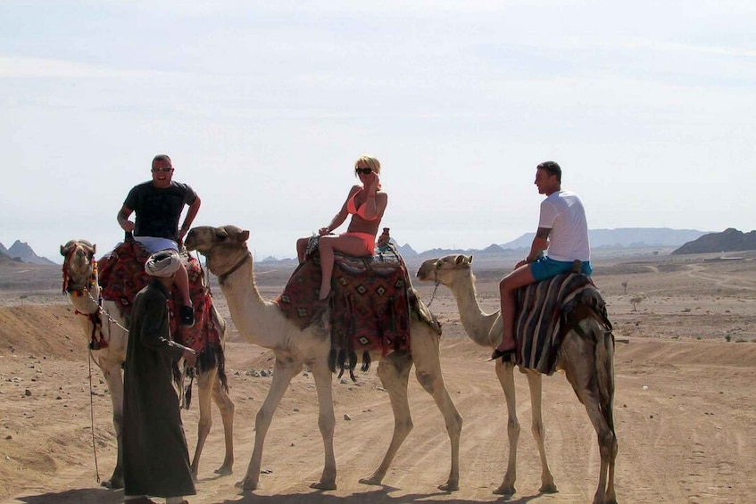Picture 25 for Activity Hurghada: Quad, Jeep, Camel and Buggy Safari with BBQ Dinner