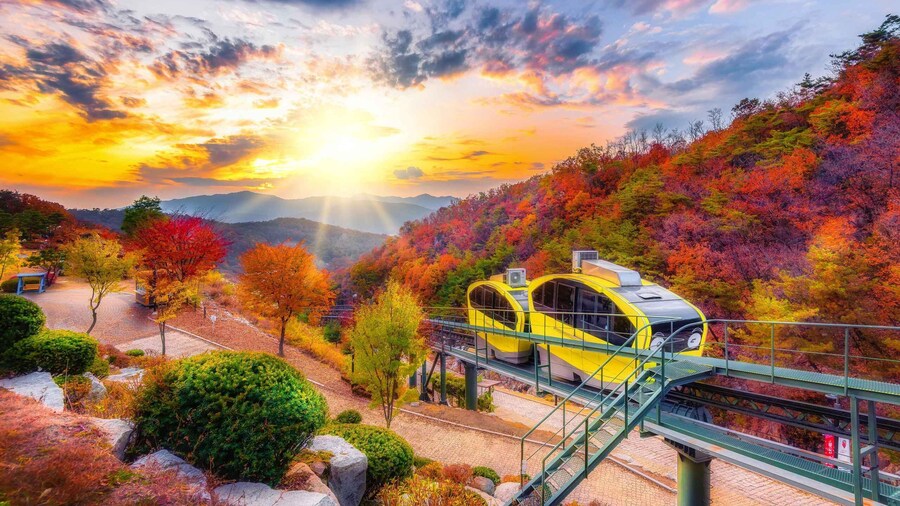 Picture 1 for Activity Seoul: Pocheon Sightseeing Tour with Seasonal Fruit Picking