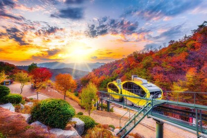 โซล: ทัวร์ Pocheon Art Valley และเก็บผลไม้