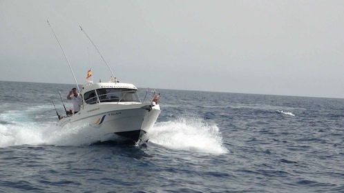 Adeje : 3,5 heures de pêche professionnelle