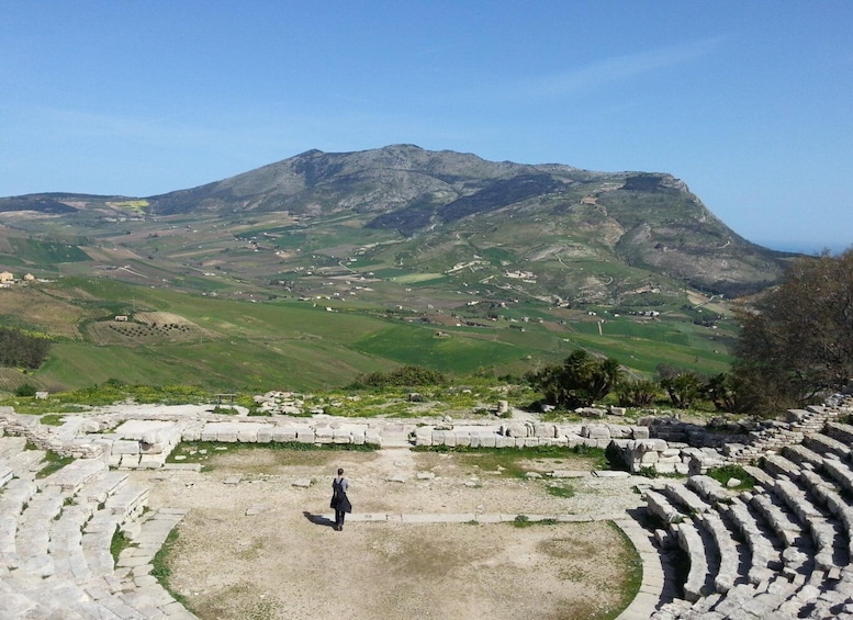 Picture 2 for Activity Segesta and Selinunte: Tour from Trapani