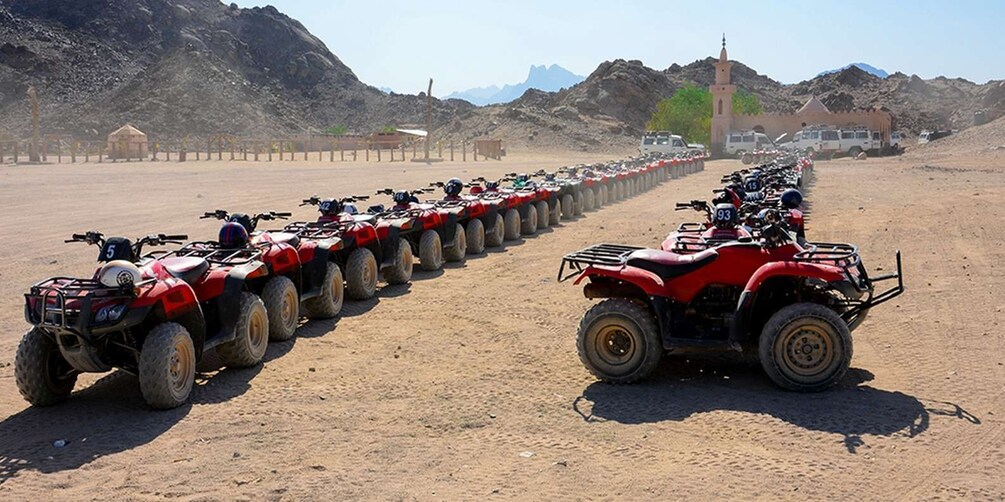 Picture 6 for Activity Sharm El Sheikh: Quad bike, Safari, Camel With Dinner & Show