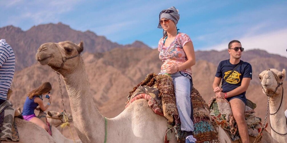 Picture 1 for Activity Sharm El Sheikh: Quad bike, Safari, Camel With Dinner & Show