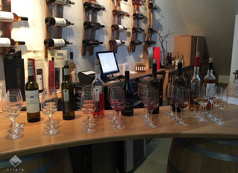 Picture 3 for Activity Pico Wine Tour: Get to know Pico's wines