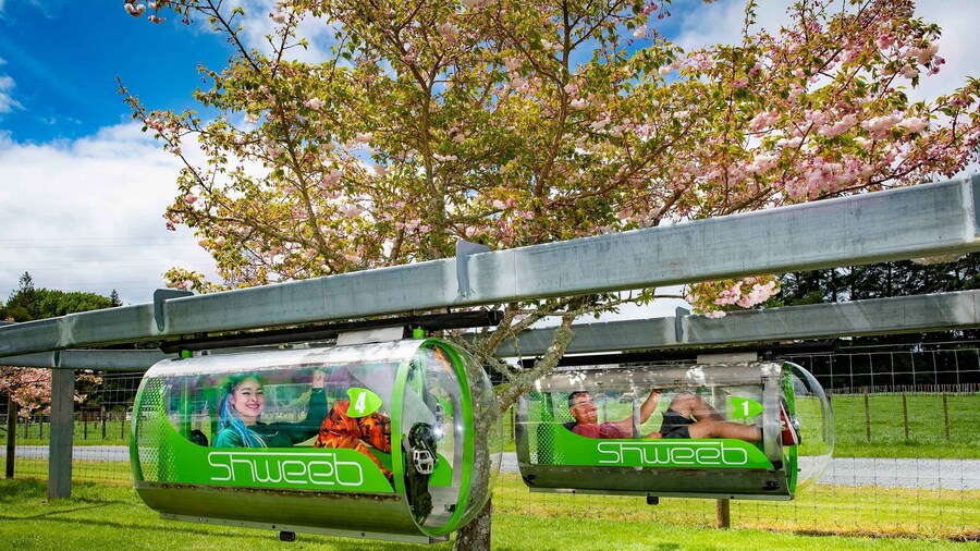 Rotorua: Velocity Valley - Pick One Pass
