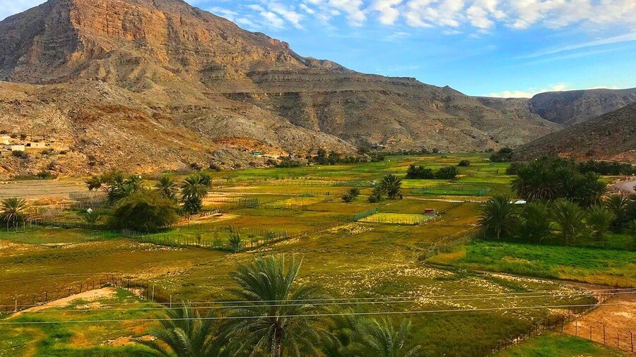 From Khasab: Snorkeling and Jebel Harim Mountain Tour