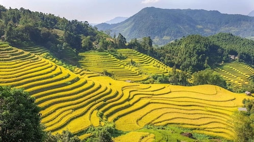 Hoàn Kiếm: 3 päivän Sapa Trek -seikkailumatka paikallisen oppaan kanssa