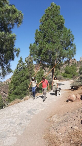 Picture 4 for Activity Gran Canaria: Highlights Tour Roque Nublo by 2 native guides