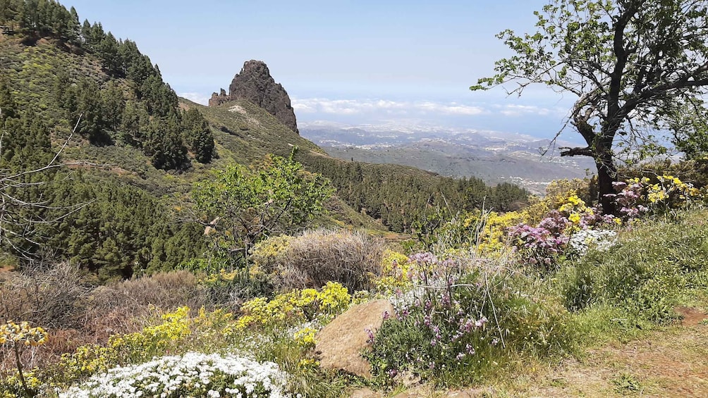 Picture 11 for Activity Roque Nublo & Gran Canaria highlights by 2 native guides