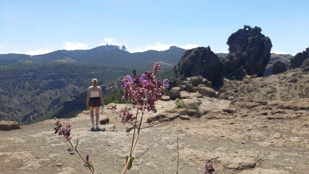 Picture 7 for Activity Gran Canaria: Highlights Tour Roque Nublo by 2 native guides