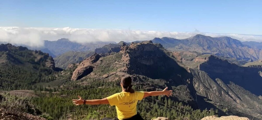 Picture 8 for Activity Gran Canaria: Highlights Tour Roque Nublo by 2 native guides