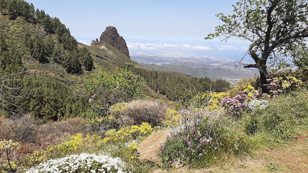 Picture 11 for Activity Gran Canaria: Highlights Tour Roque Nublo by 2 native guides