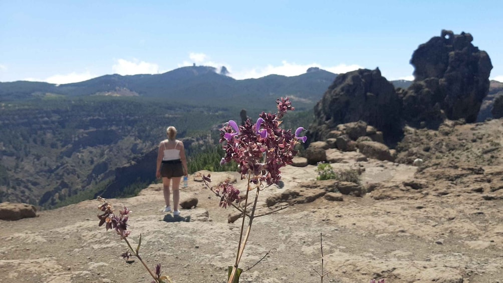 Picture 6 for Activity Roque Nublo & Gran Canaria highlights by 2 native guides