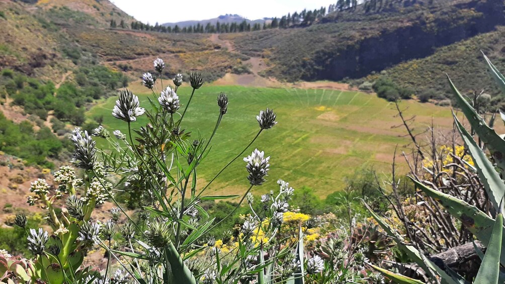 Picture 12 for Activity Gran Canaria: Highlights Tour Roque Nublo by 2 native guides