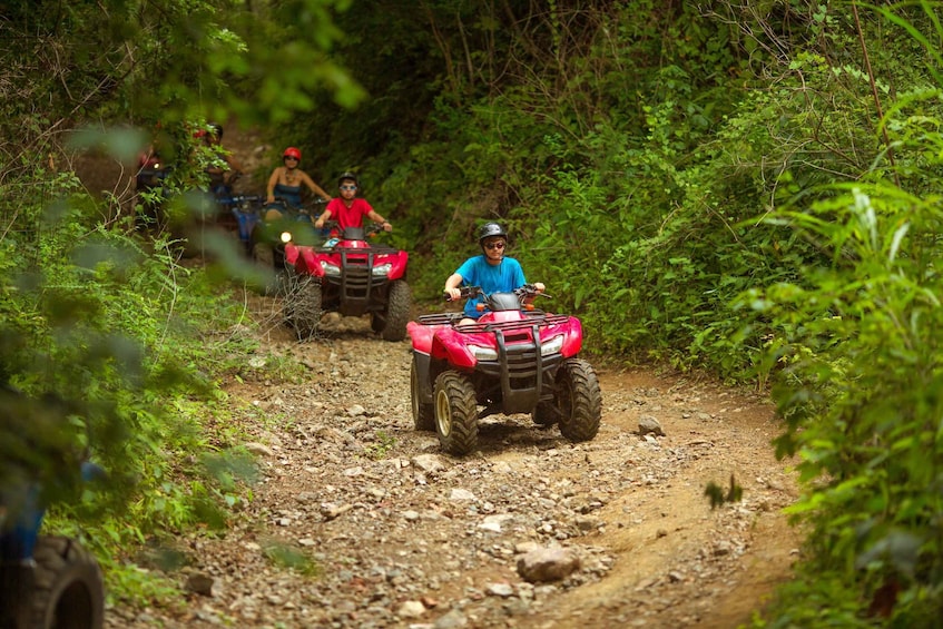 Picture 2 for Activity Palomino Quad Bike Tour