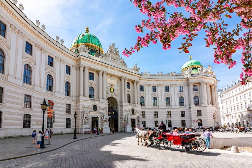 Picture 4 for Activity Skip-the-line Private Tour Kunsthistorisches Museum Vienna