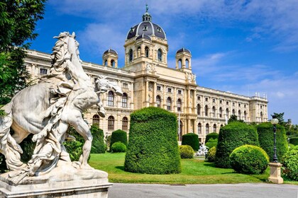 Spring køen over Privat rundvisning på Kunsthistorisches Museum Wien