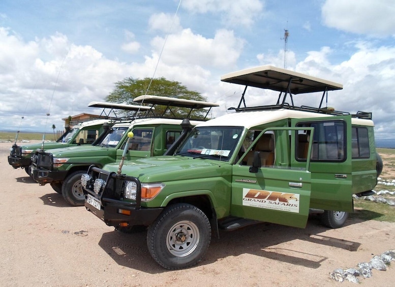 Picture 4 for Activity Nairobi Souvenir Shopping And Historical Half Day Tour.