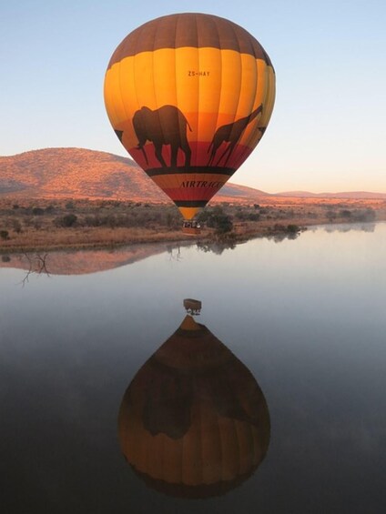 Picture 10 for Activity Pilanesberg National Park 2 Days