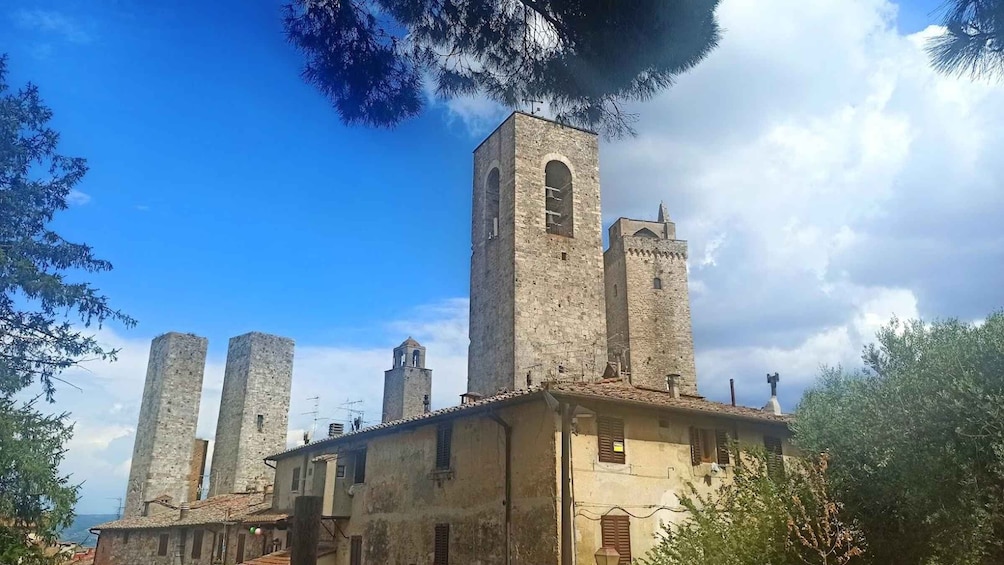 Picture 4 for Activity Visit Siena and San Gimignano with lunch at a family farm