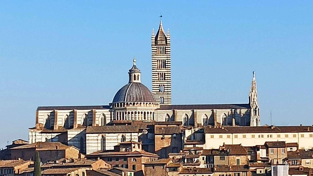 Picture 15 for Activity Visit Siena and San Gimignano with lunch at a family farm