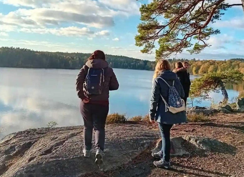 Picture 3 for Activity Stockholm: Evening/Sunset Hike in Tyresta National Park