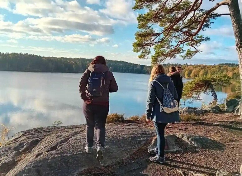 Picture 3 for Activity Stockholm: Tyresta National Park Sunset Hike with Meal