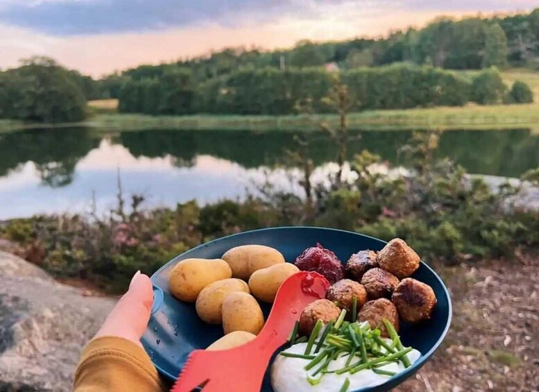 Picture 4 for Activity Stockholm: Tyresta National Park Sunset Hike with Meal