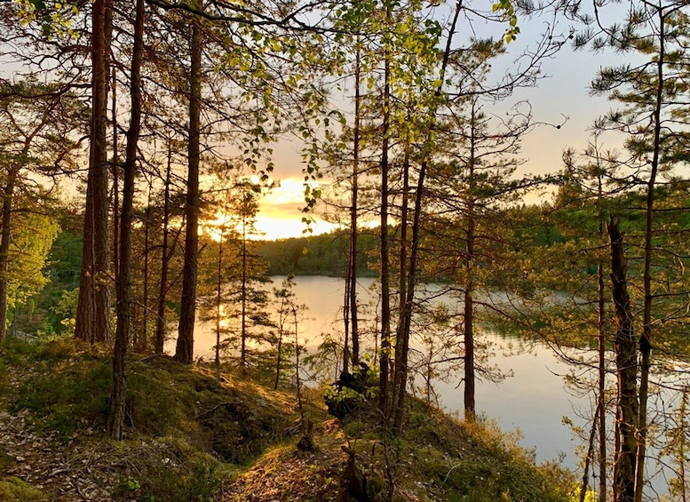 Picture 6 for Activity Stockholm: Tyresta National Park Sunset Hike with Meal