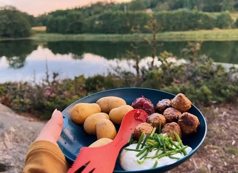 Picture 4 for Activity Stockholm: Tyresta National Park Sunset Hike with Meal