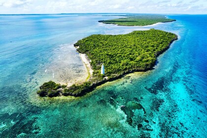 Zanzibar : Snorkelling to tumbatu - Private Boat