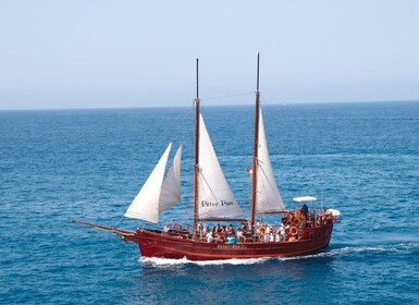 Los Cristianos: Cristianos: Whale-Watching Tour with Swimming Stop