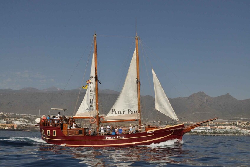 Picture 2 for Activity Los Cristianos: Whale-Watching Sailboat Tour and Soft Drinks