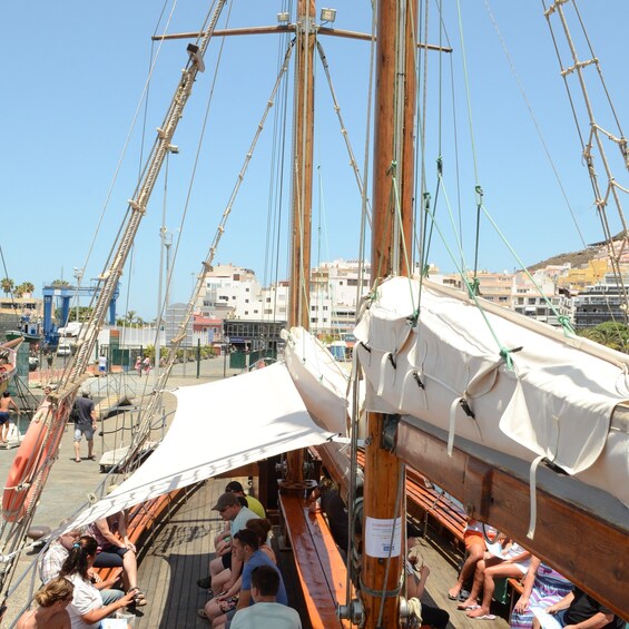 Picture 12 for Activity Los Cristianos: Whale-Watching Tour with Swimming Stop