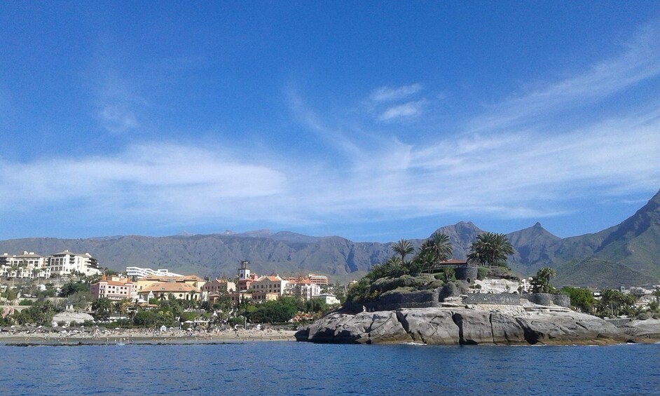 Picture 14 for Activity Los Cristianos: Whale-Watching Tour with Swimming Stop