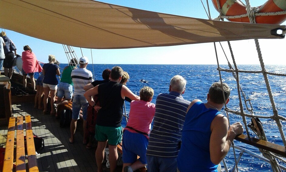 Picture 5 for Activity Los Cristianos: Whale-Watching Sailboat Tour and Soft Drinks