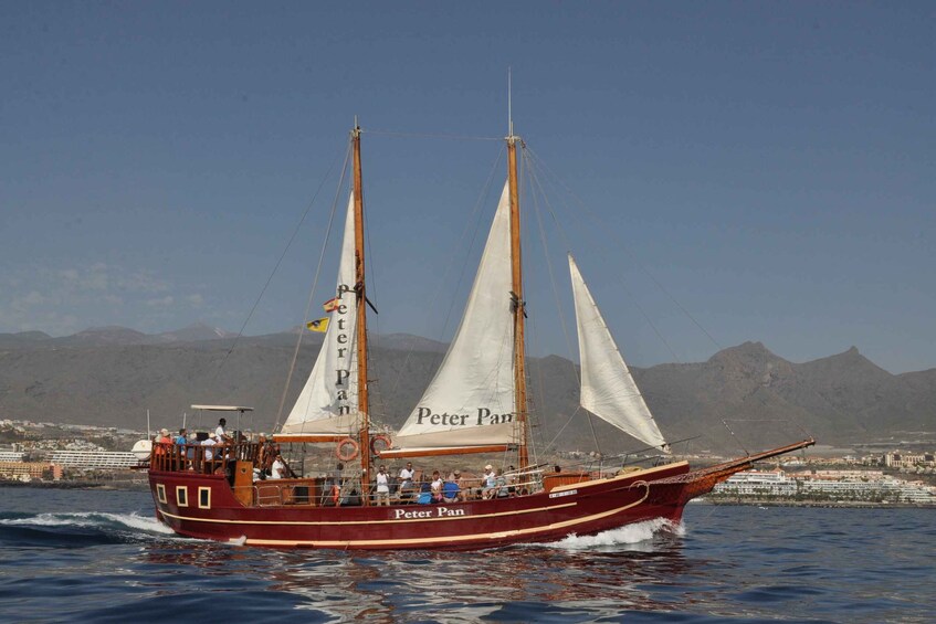 Picture 1 for Activity Los Cristianos: Whale-Watching Tour with Swimming Stop