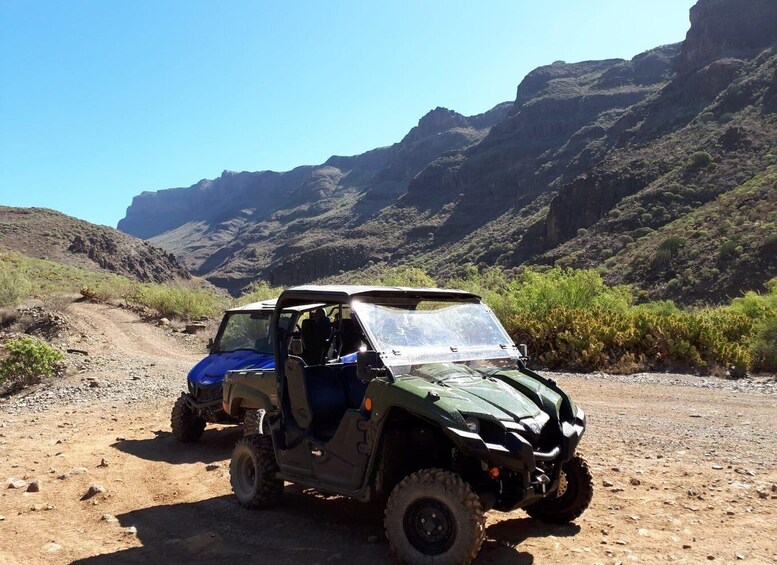 Picture 5 for Activity From Maspalomas: Volcanic Landscapes 4-Seater Buggy Tour