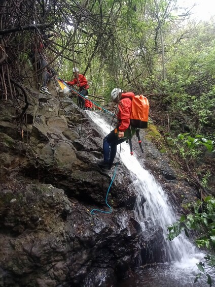 Picture 12 for Activity Gran Canaria: Rainforest Canyoning Tour with Gear and Snack