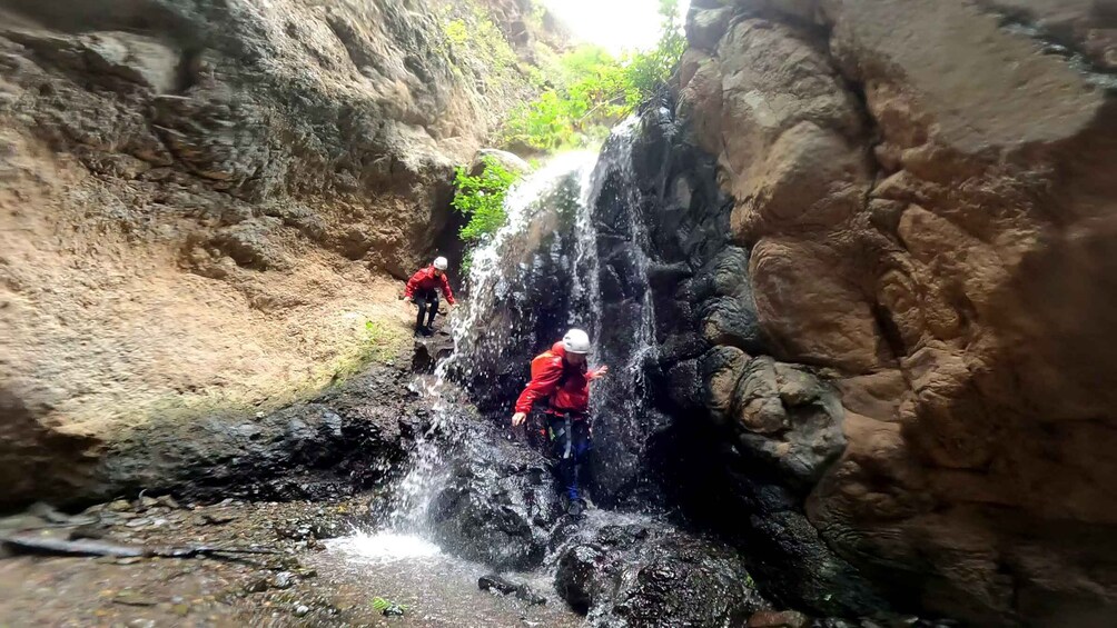 Picture 7 for Activity Gran Canaria: Rainforest Canyoning Tour with Gear and Snack