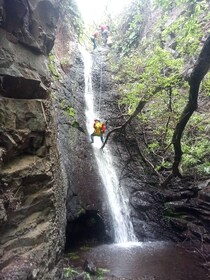 Gran Canaria: Rainforest Canyoning Tour with Gear and Snack