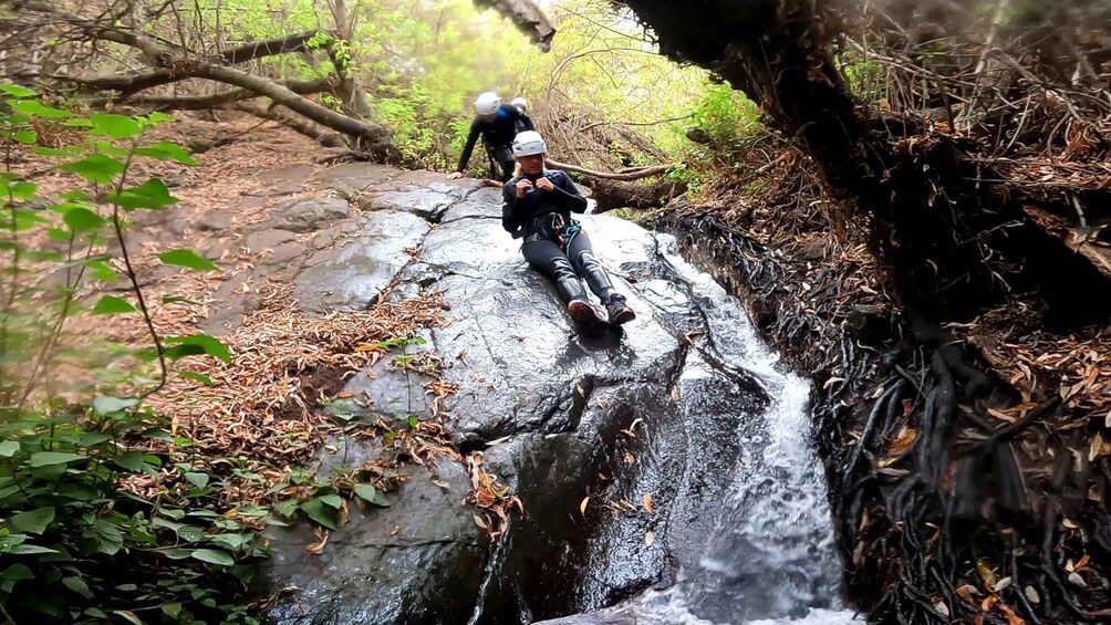 Picture 14 for Activity Gran Canaria: Rainforest Canyoning Tour with Gear and Snack