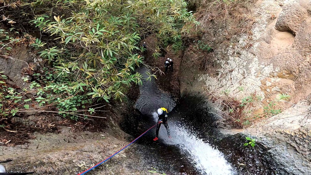 Picture 18 for Activity Gran Canaria: Rainforest Canyoning Tour with Gear and Snack