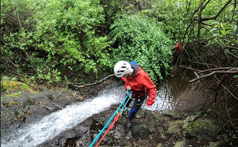 Gran Canaria: Rainforest Canyoning Tour with Gear and Snack