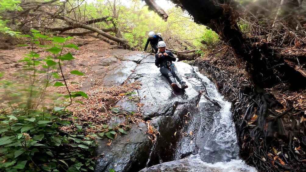 Picture 14 for Activity Gran Canaria: Rainforest Canyoning Tour with Gear and Snack