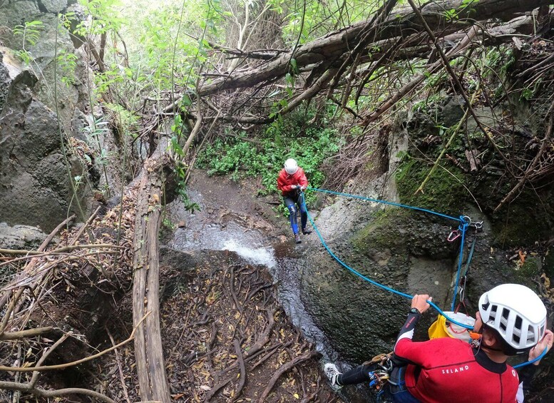 Picture 13 for Activity Gran Canaria: Rainforest Canyoning Tour with Gear and Snack