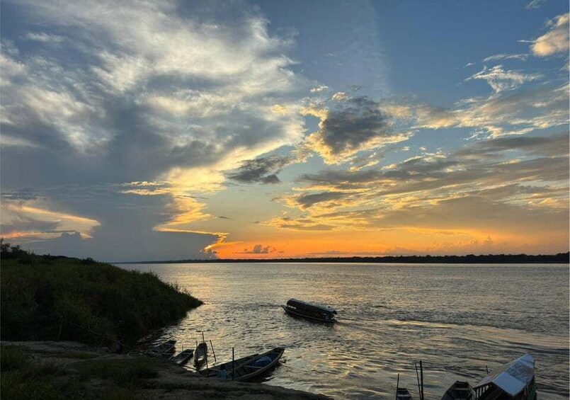 Picture 5 for Activity Iquitos: Ayahuasca and its curative power