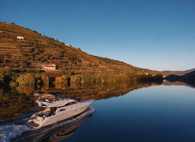 Porto: Cruise on the Douro River - Discovering Régua